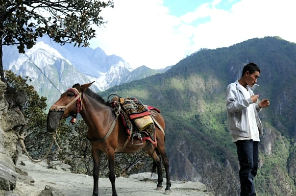 1566554B504808DF320037