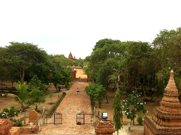 2350905052FDC3D01C9A1B