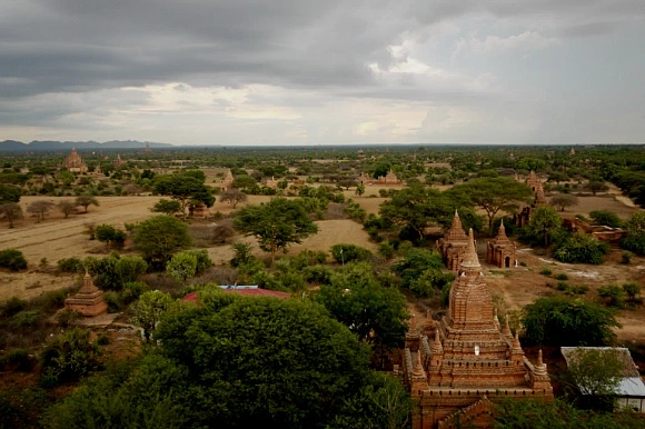 222C893552FDA6E2114E8D