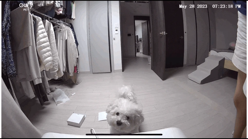 KakaoTalk_20230530_145445065.gif?type=w966