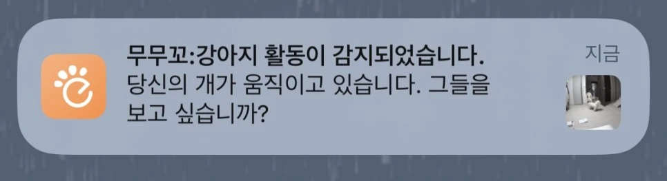 KakaoTalk_20230530_144415457.jpg?type=w966