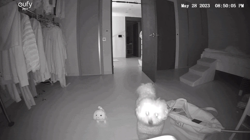 KakaoTalk_20230530_145445065_01.gif?type=w966