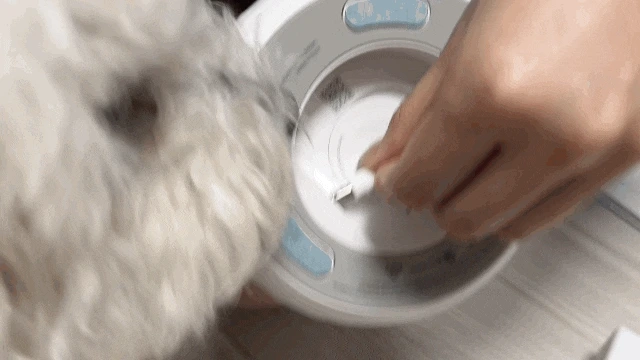 KakaoTalk_20230530_145634686_03.gif?type=w966