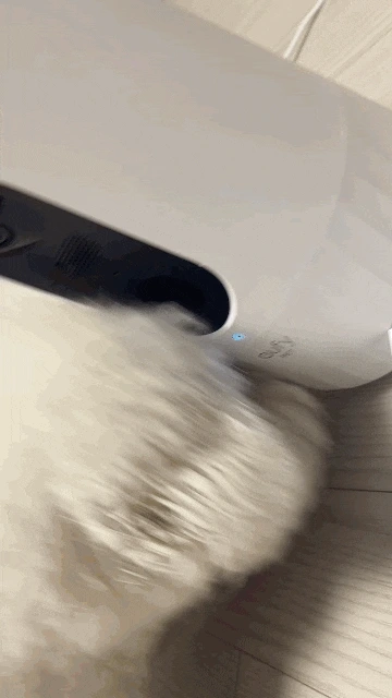 KakaoTalk_20230530_162310978.gif?type=w966