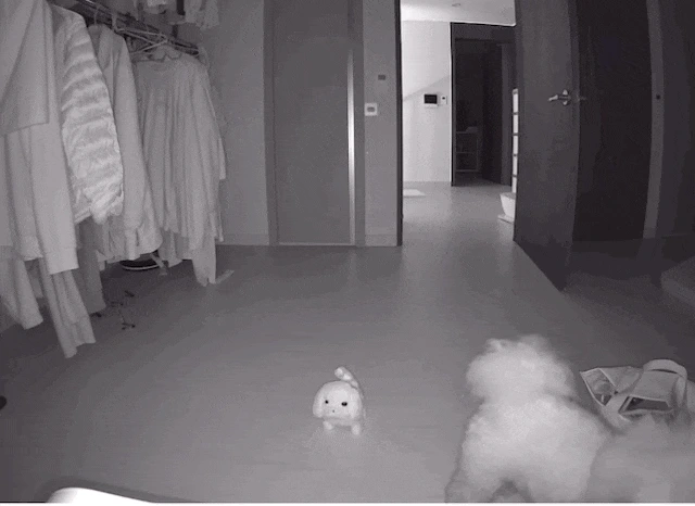 KakaoTalk_20230530_154915920.gif?type=w966