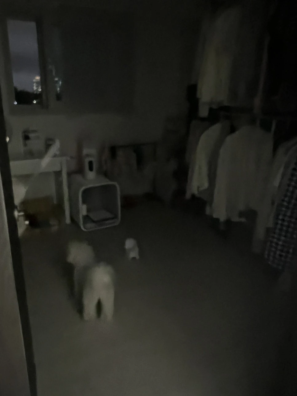 KakaoTalk_20230530_144416591.jpg?type=w966