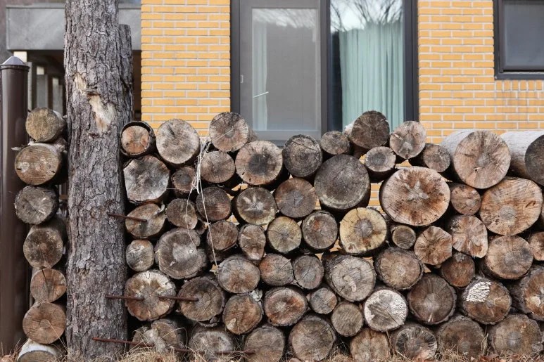 IMG_0441.JPG?type=w773