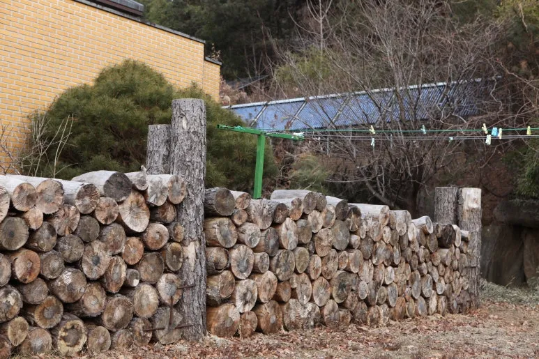 IMG_0443.JPG?type=w773