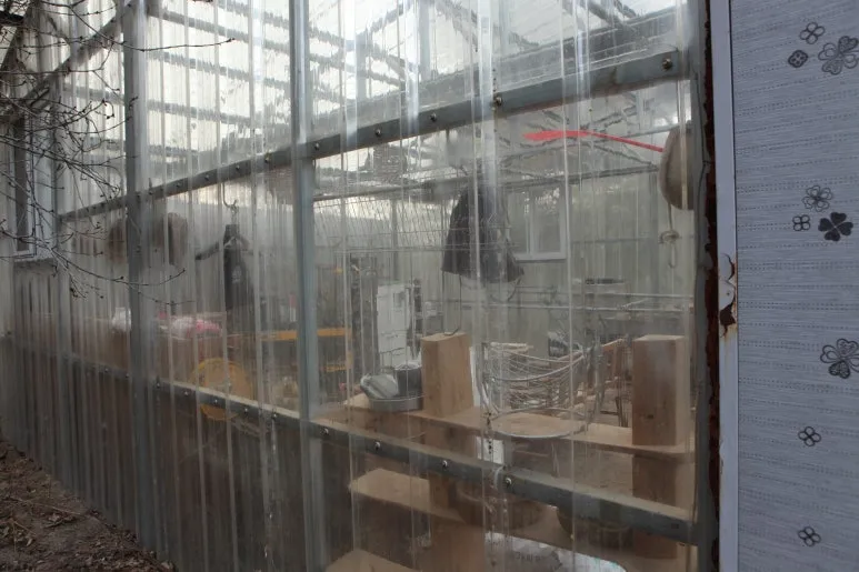 IMG_0399.JPG?type=w773