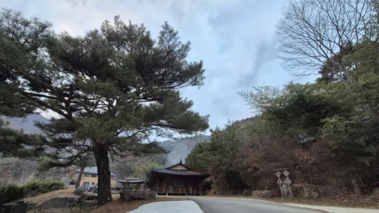 900%EF%BC%BF20251228%EF%BC%BF170855%EF%BC%880%EF%BC%89.jpg?type=w773