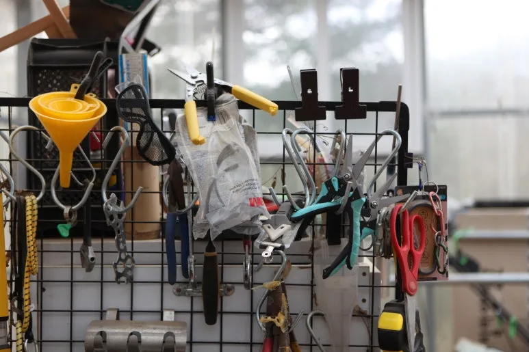 IMG_0389.JPG?type=w773