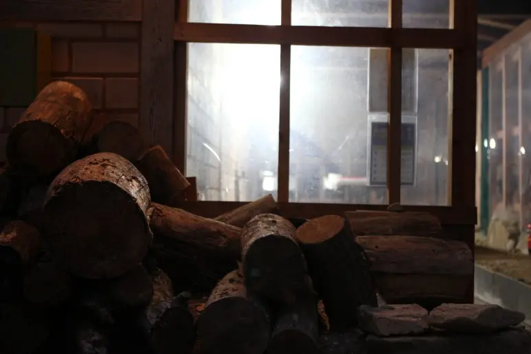 IMG_0148.JPG?type=w773