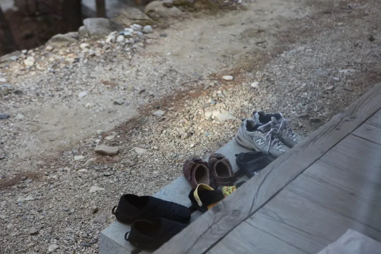 IMG_0502.JPG?type=w773