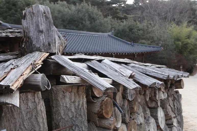 IMG_0428.JPG?type=w773