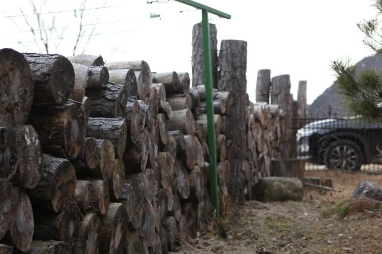 IMG_0446.JPG?type=w773