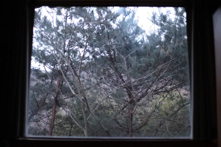 IMG_0368.JPG?type=w773