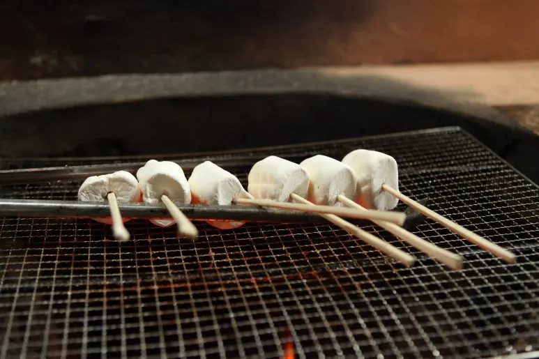 IMG_0220.JPG?type=w773