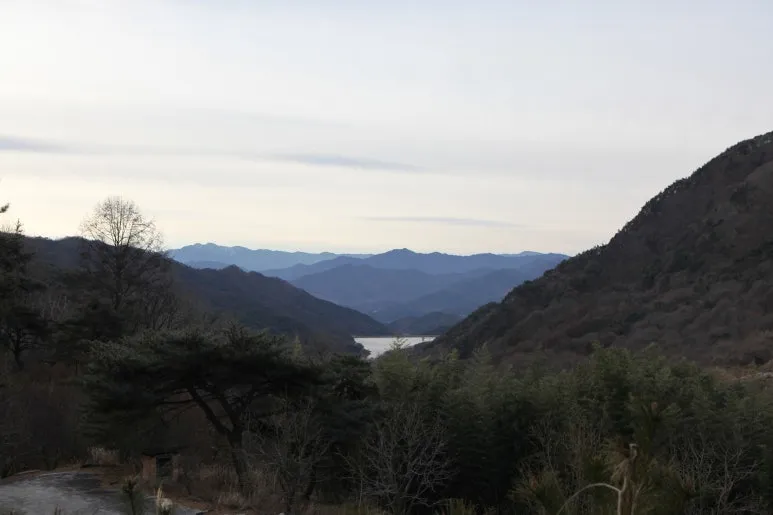 IMG_0483.JPG?type=w773