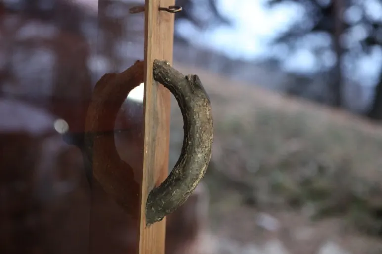 IMG_0146.JPG?type=w773