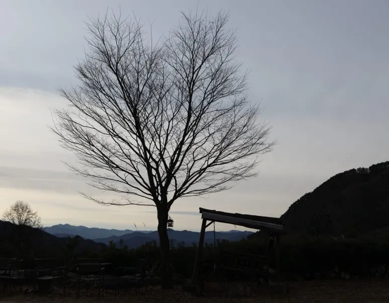 SE-29e8b33a-68d3-4b3c-aa83-f18bdf2c4c9f.jpg?type=w773