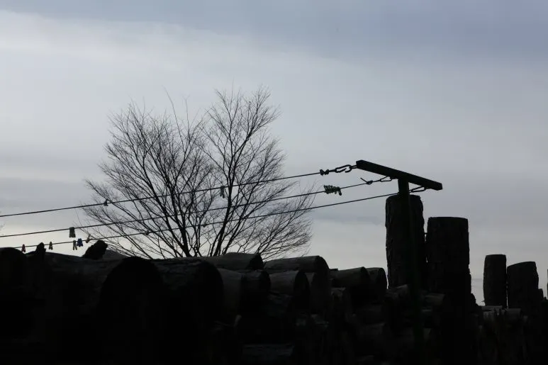 IMG_0454.JPG?type=w773