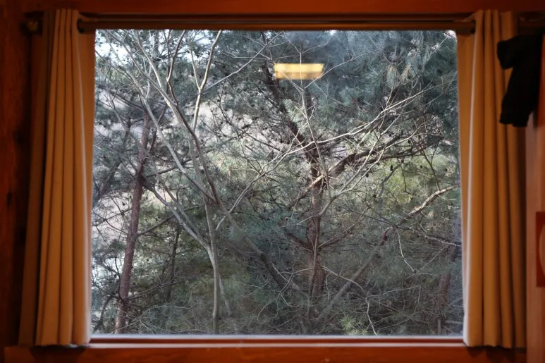 IMG_0501.JPG?type=w773