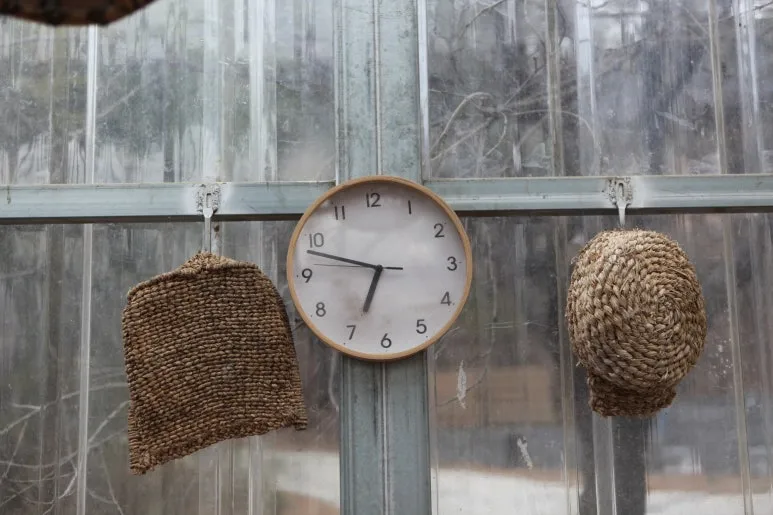 IMG_0385.JPG?type=w773