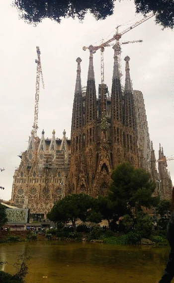 image_6946247441530932175107.jpg?type=w773