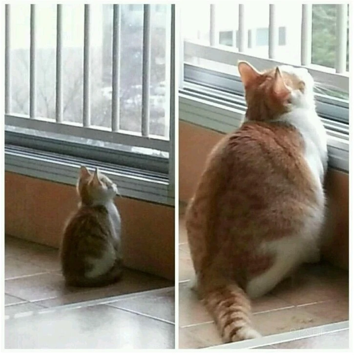 Screenshot 2022-06-20 at 15.31.32.JPG