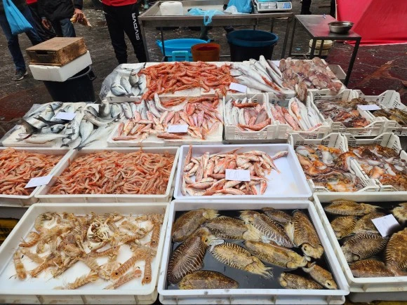 20230403_092034.jpg?type=w580