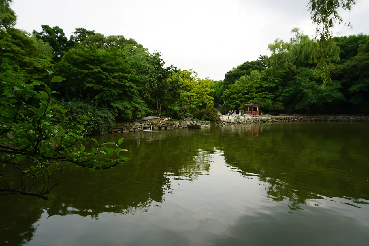 연못.JPG