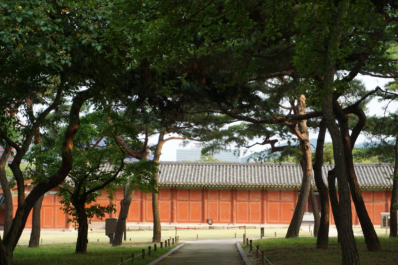 궁과 나무.JPG