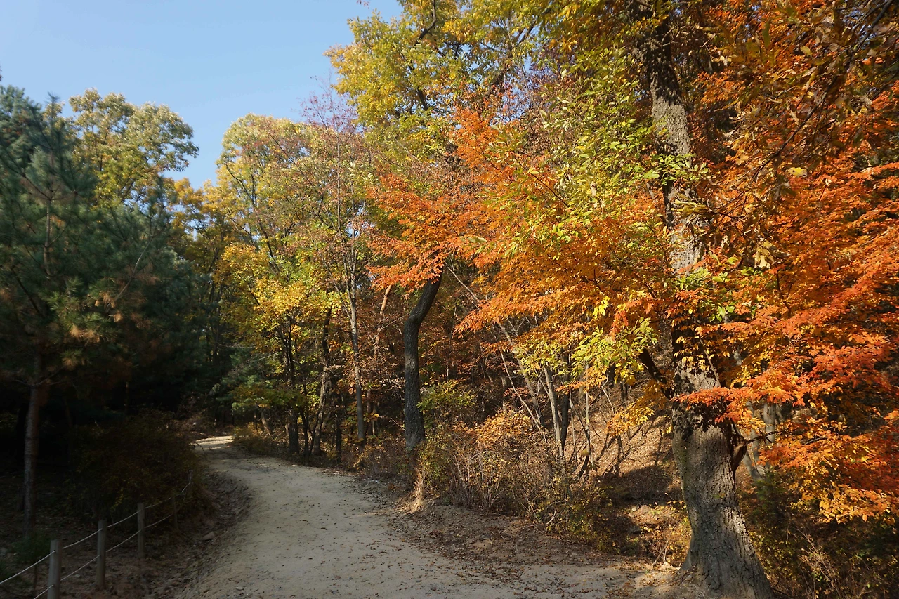 태릉강릉 산책길 입구.JPG