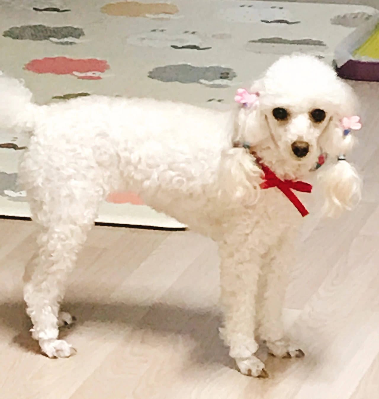 (190410)_알알이 옆모습.JPG