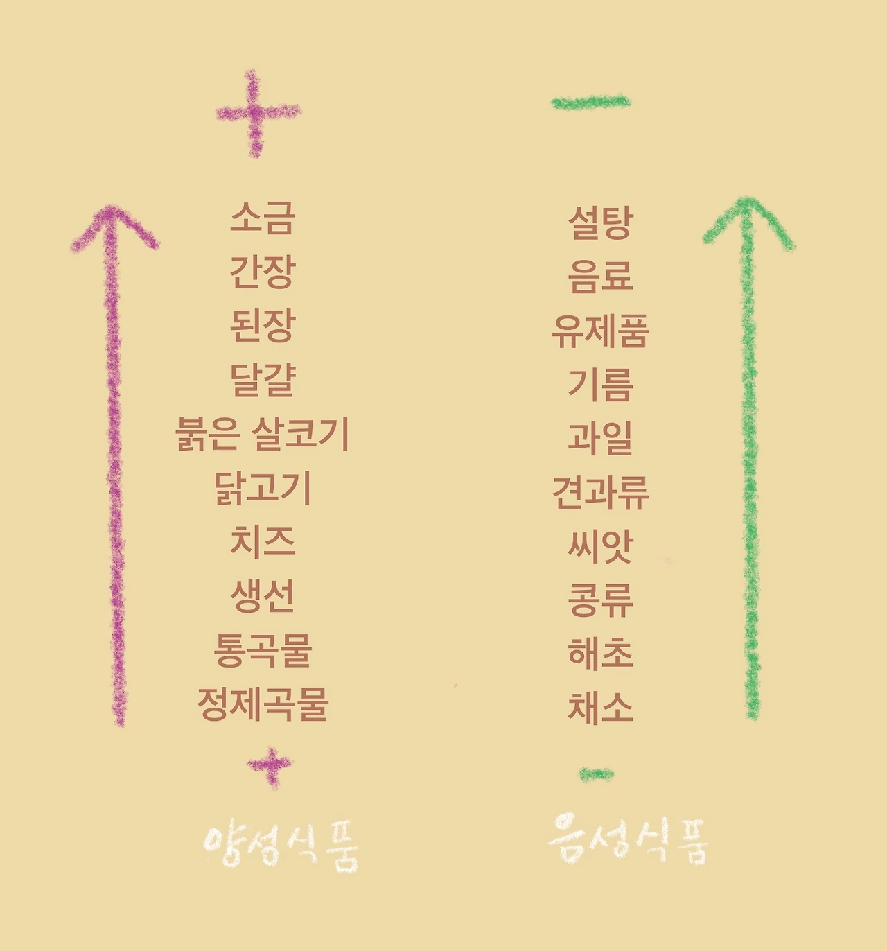 마크로비오틱 음 양 그림.JPG