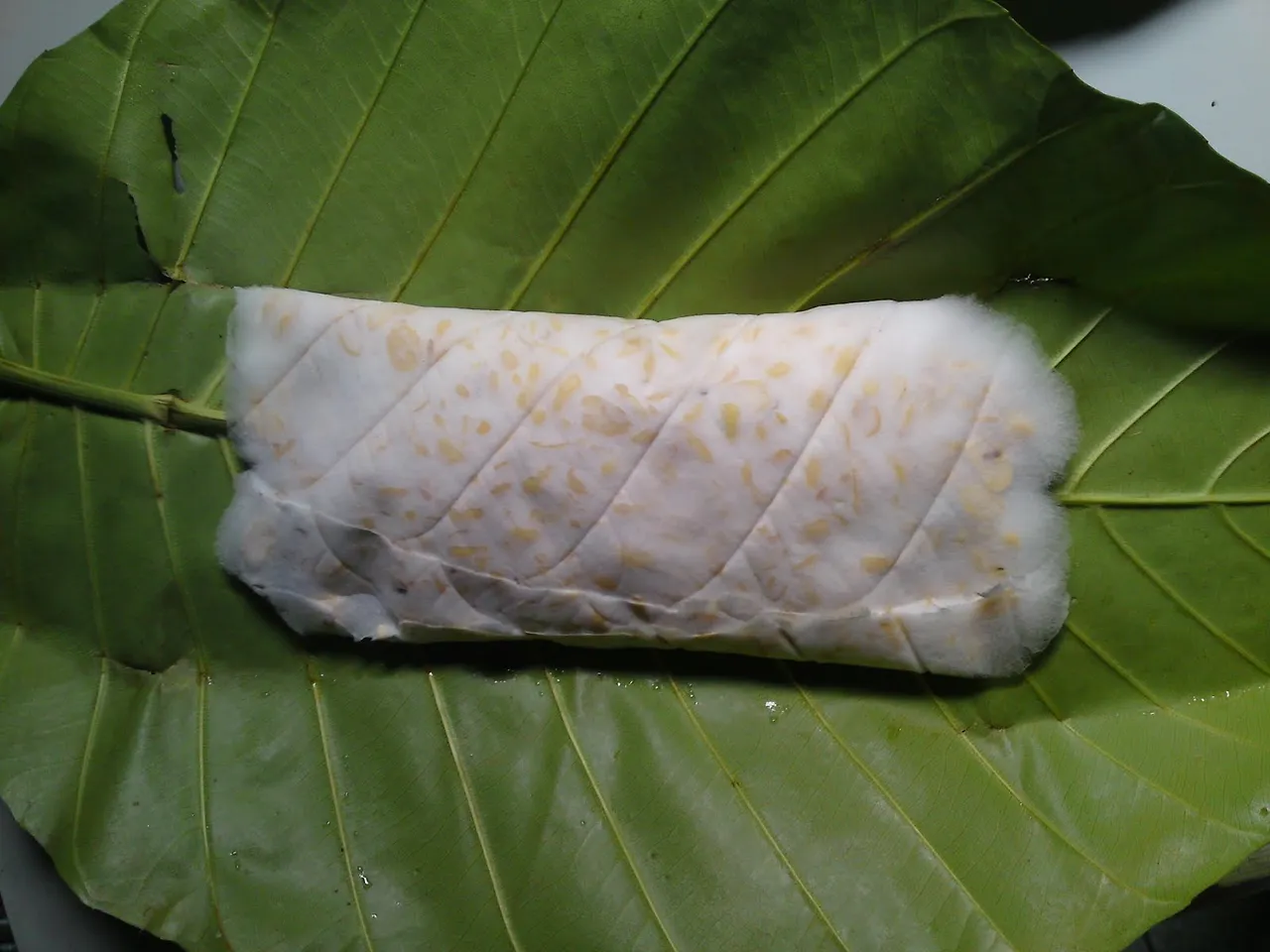 HiPmQHcYYT95RsSxHFqa-Cpm6ZI1T0ZuLiqPv5FnConF1yLWniTIkceIx9izE3zqY5DwfVaUSC6Kv8nb0qshz5s4HvDBj5ZjmriWbhW-1A4zlUKdP2U1r9k39F4PynmuORluiJZvlqt7qdTD5P29lhb8XUWMXloKWt8gmkZqN_Z08PcSr32zClQk