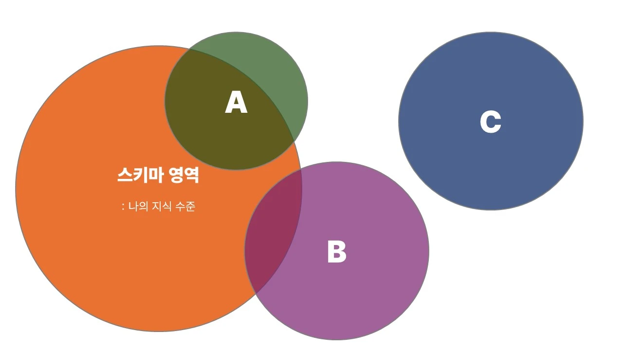 스키마 독서_1.JPG