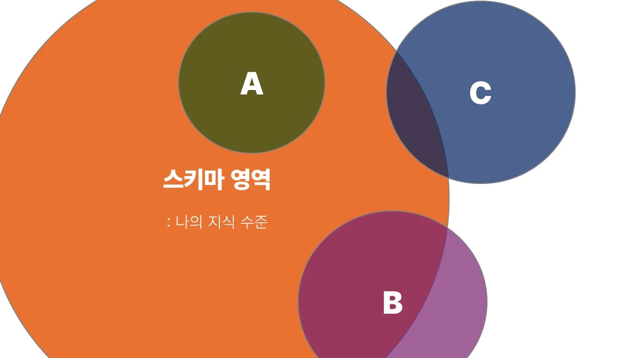 스키마 독서_2.JPG