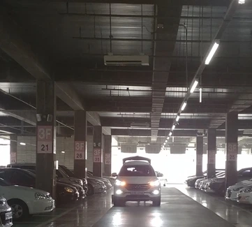 image_1264920961508723239225.jpg?type=w966