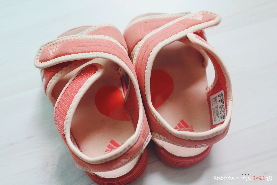 image_7451350921506315369657.jpg?type=w966