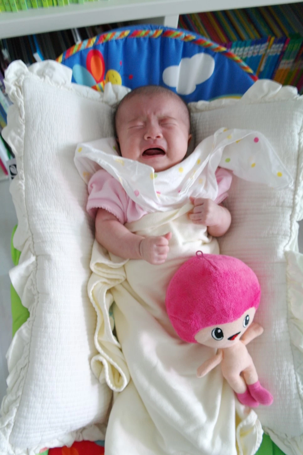 06044169.JPG?type=w966