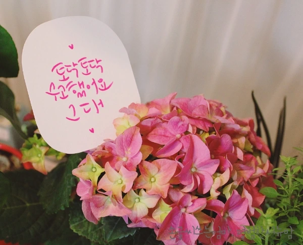 image_7711369071490440923341.jpg?type=w966