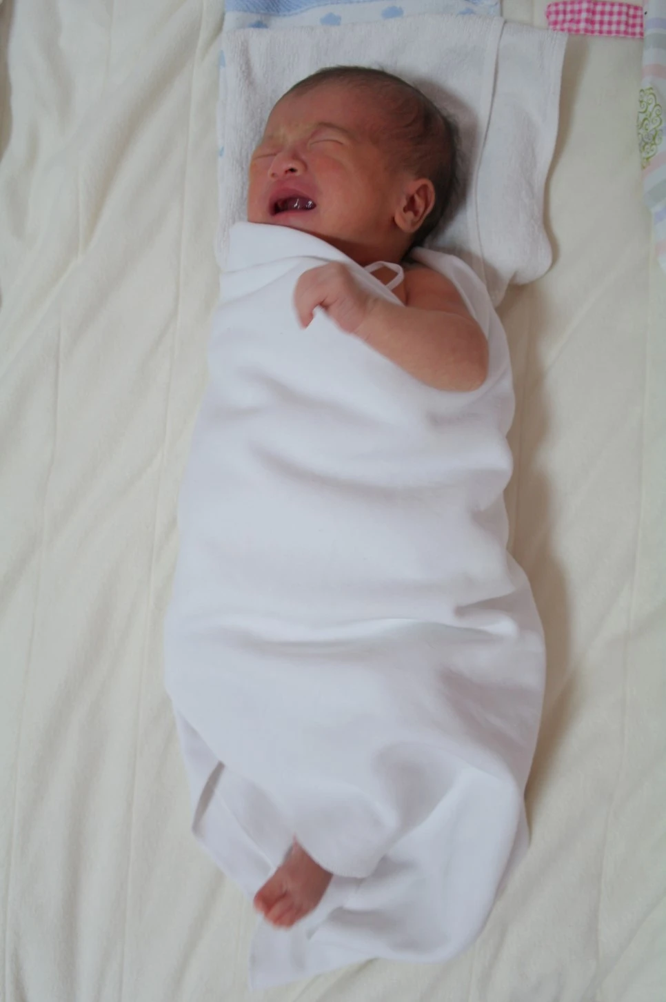 05103821.JPG?type=w966