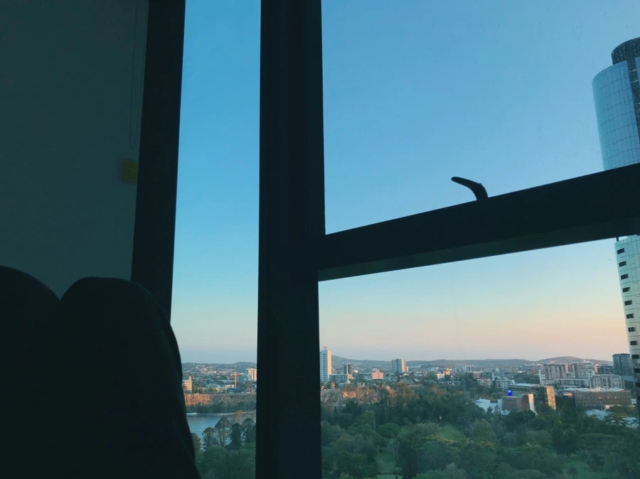 IMG_7800.jpg?type=w966