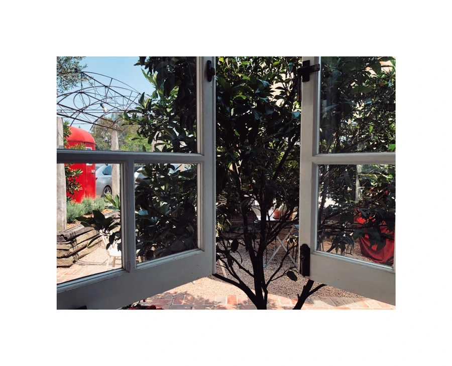 IMG_9752.jpg?type=w966