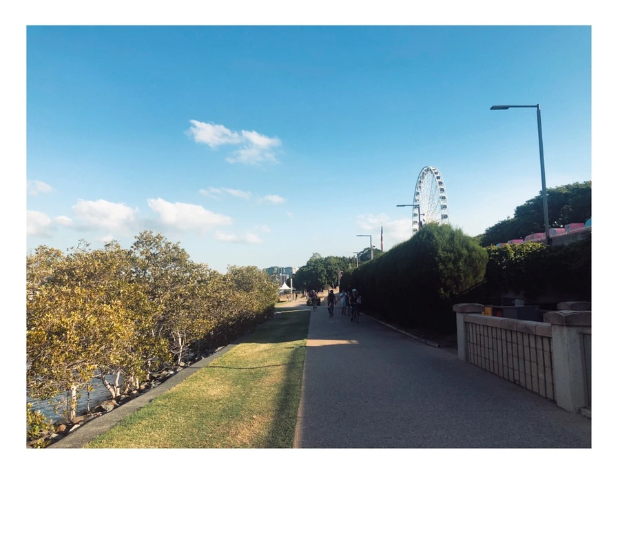 IMG_0479.jpg?type=w966