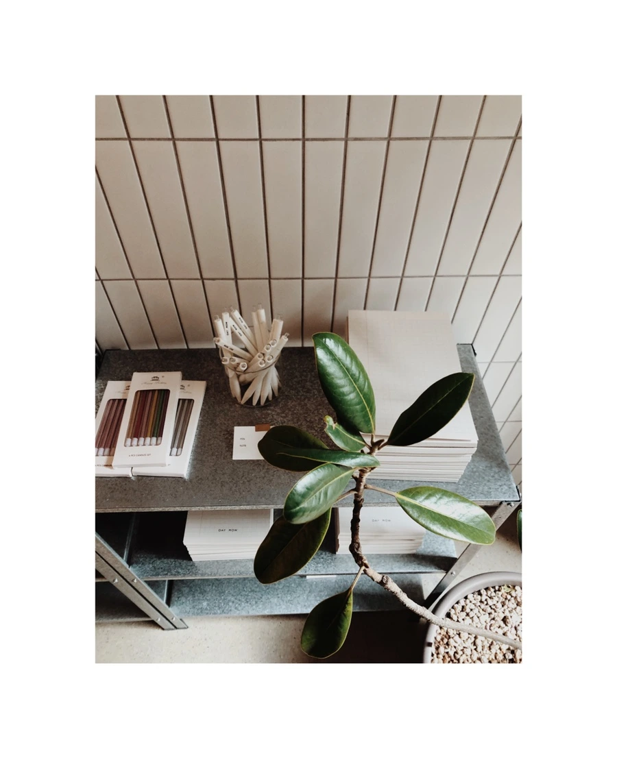 IMG_2827.jpg?type=w966