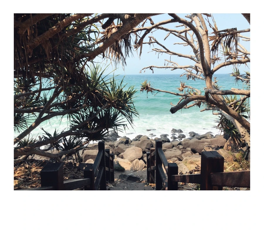 IMG_0087.jpg?type=w966