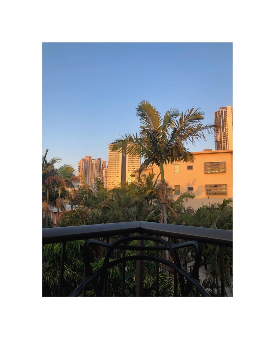 IMG_8995.jpg?type=w966