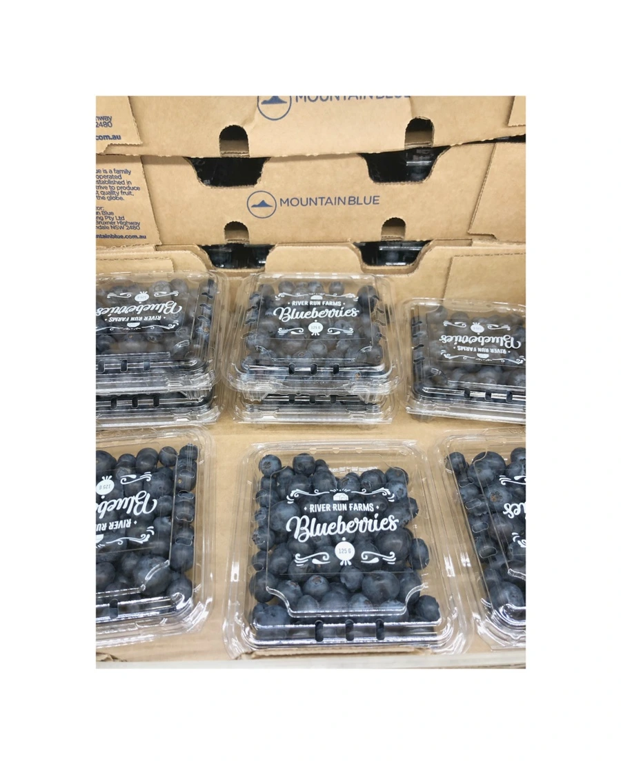 IMG_6243.jpg?type=w966